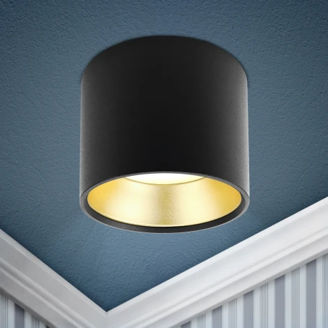 Точечный светильник ЭРА OL8 GX53 BK/GD OL8 GX53 BK/GD