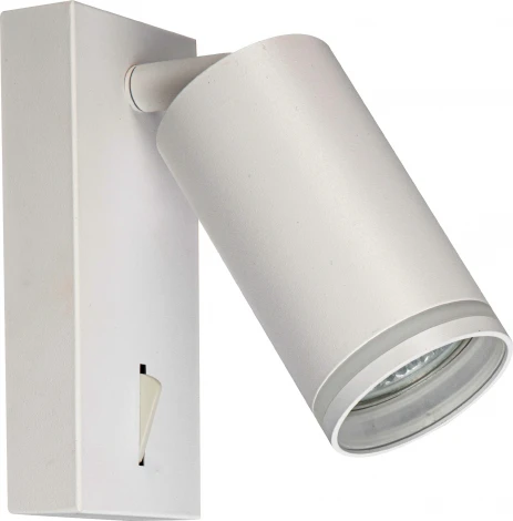 Спот с выключателем Brizzi Aras BR08079