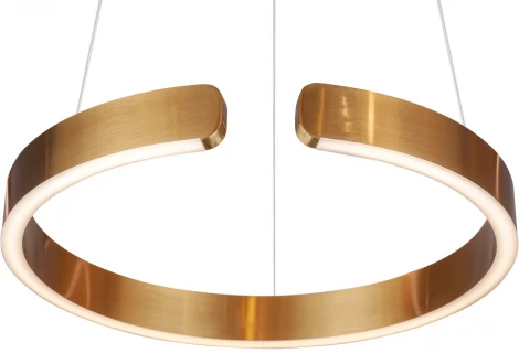 Подвесной светильник L'Arte Luce Mito L47904 (LED, 220V, на тросе, кольцо)