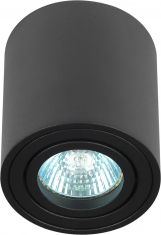 Точечный светильник ЭРА OL21 BK (220V)
