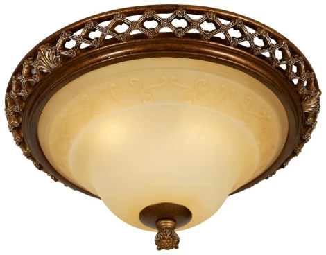 Потолочный светильник круглый Wertmark Adora WE342.03.627 (220V)