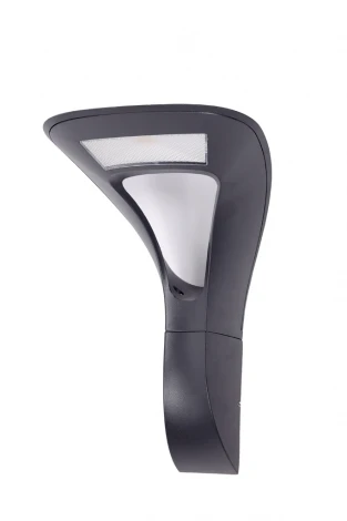 Настенный светильник уличный Oasis Light W2521S