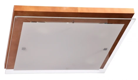 Настенно-потолочный светильник Дубравия Эко 106-21-24/2H