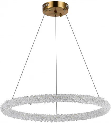 Подвесной светильник Avana SL6110.213.01 ST Luce (регулировка яркости, LED, 220V, пульт управления, на тросе, кольцо)