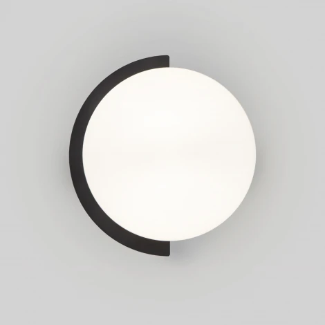 Настенный светильник Eurosvet Moity 70150/1 черный (220V, круглые)