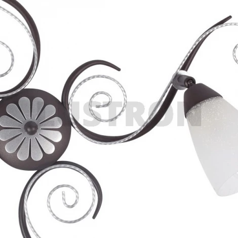 Потолочная люстра MW-Light Аида 323013404