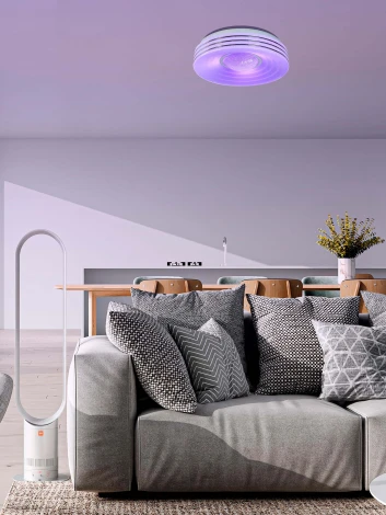 Настенно-потолочный светильник Мелодия Света CW1L 000025019