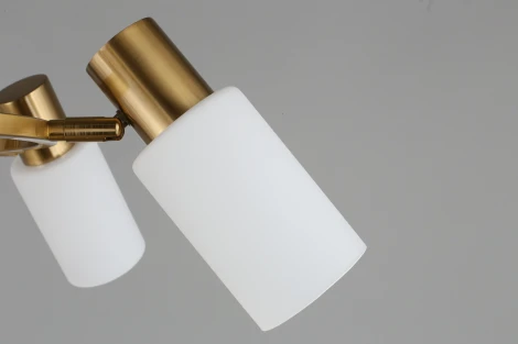 Подвесная люстра Omnilux Ales OML-69103-06 (220V, на тросе)