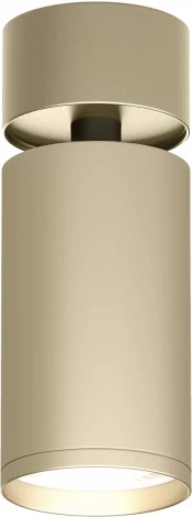 Накладной светильник Denkirs Tube DK2029-GG (220V, круглые)