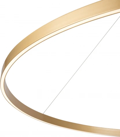 Подвесной светильник Maytoni Rim MOD058PL-L65BSK (LED, 220V, на тросе, кольцо)