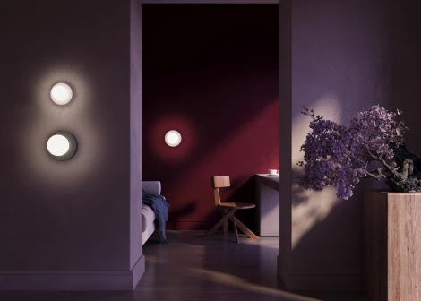 Настенный светильник Maytoni Careless MOD403WL-01GR (220V, шар)