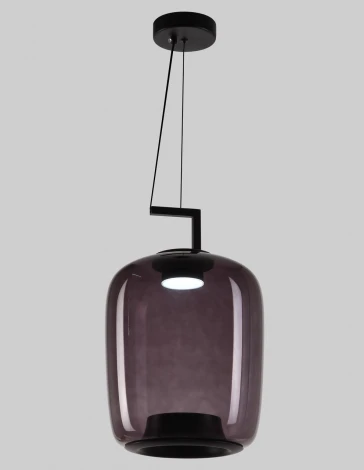 Подвесной светильник Alfa Light F2824-28 (LED, 220V, на тросе, круглые)