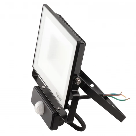 Прожектор уличный светодиодный с датчиком движения PROFI Ritter 53422 2