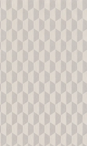 Обои виниловые BN International Cubiq BN 220353 10,05 x 0,53 м