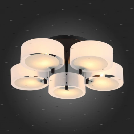 Потолочная люстра ST Luce Foresta SL483.402.05