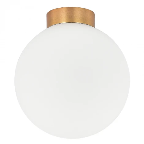 Настенно-потолочный светильник накладной Donolux Munich DL18031G9Bronze 200 под лампу G9 IP54