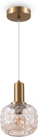 Подвесной светильник Freya Fero FR5366PL-01BS (220V, на проводе)