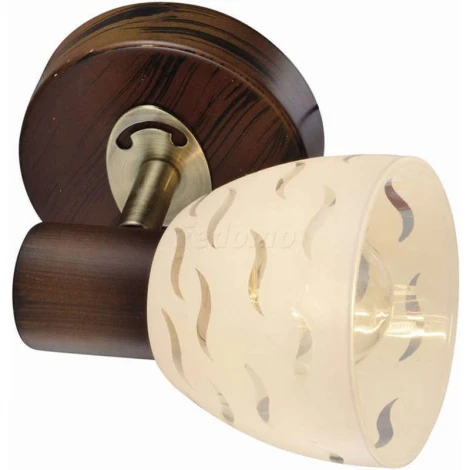 Спот Toplight Shayla TL3730Y-01BB