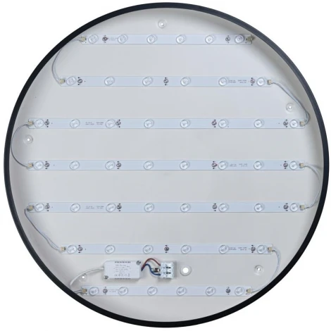 Потолочный светильник круглый Loft IT Axel 10002/48 Black (LED, 220V, круглые)