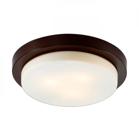 Настенно-потолочный светильник Odeon Light Holger 2744/3C
