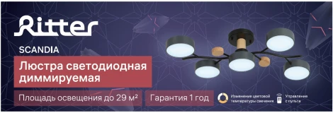 Потолочная люстра светодиодная на штанге с ДУ Ritter Scandia 52080 1