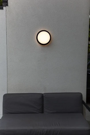 Потолочный светильник уличный светодиодный Oasis Light SIDNEY LED W2058 Bl (220V, круглые, IP44)