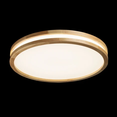 Потолочный светильник круглый светодиодный De City Норден 660015401