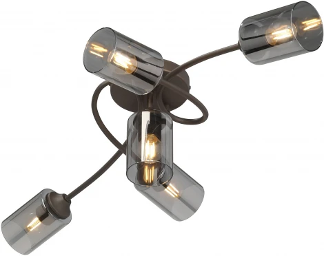 Потолочная люстра Vitaluce V2048-7/5PL (220V)