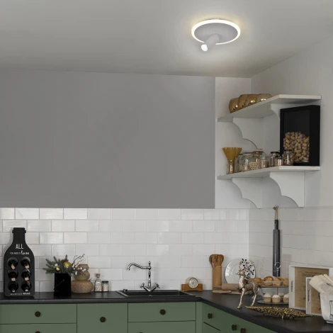 Настенно-потолочный светодиодный светильник 20046LED Escada 20046SMA/01LED WH 20Вт, металл/акрил, белый (220V, круглые)