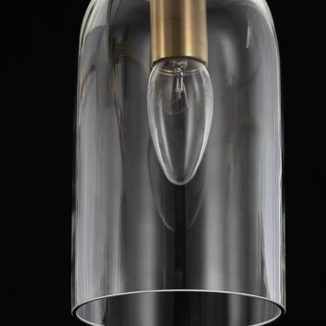 Потолочная люстра на штанге Citilux Tendy CL244151