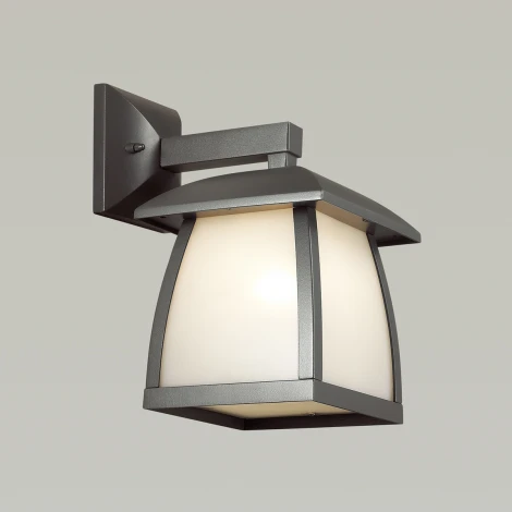 Настенный фонарь уличный Odeon Light Tako 4049/1W