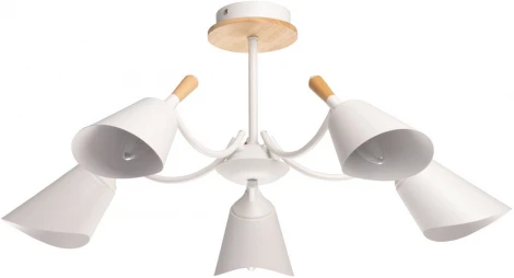 Потолочная люстра на штанге De City Дэла 635014805 (220V)