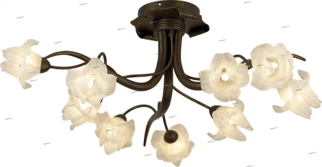 Потолочная люстра Odeon Light Iris 1372/9