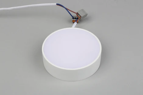 Потолочный светильник круглый Aployt Evon APL.0114.09.12 (LED, 220V, круглые)