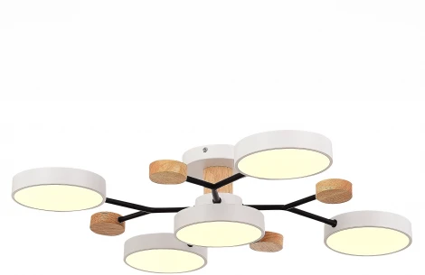 Потолочная люстра на штанге Evoluce Faema SLE6006-502-05