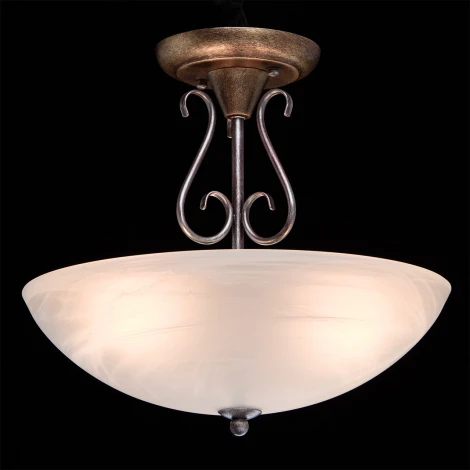 Потолочная люстра MW-Light Аида 323012603