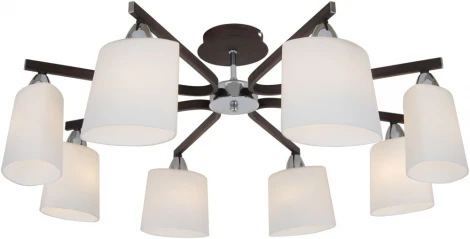 Потолочная люстра Citilux Astra CL138181
