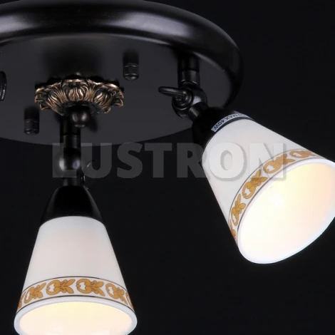 Спот Maytoni Spot 1 ECO001-33-R