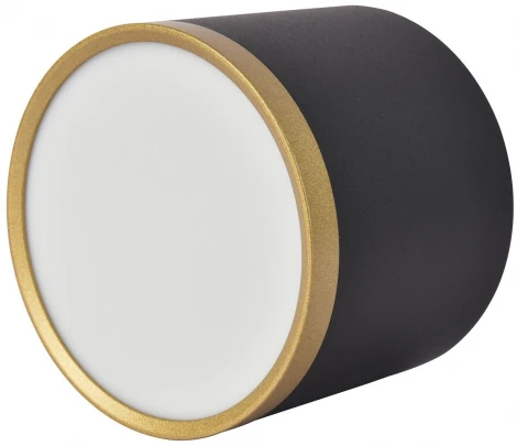 Точечный светильник накладной Favourite Baral 3081-2C