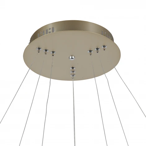 Подвесная люстра ST Luce Erto SL904.203.03