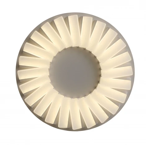 Потолочная люстра ST Luce Tifoso SL837.502.24