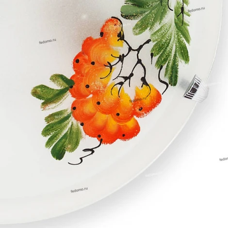Настенно-потолочный светильник Toplight Pirolf TL9351Y-02WH