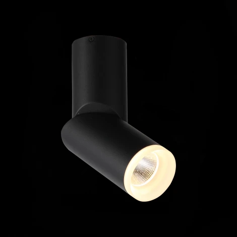 Спот ST Luce Tortelle ST107.402.10