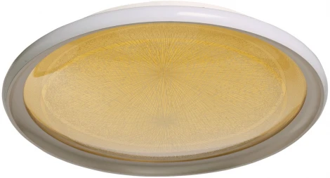 Потолочный светильник круглый DeMarkt Норден 660015101 (регулировка яркости, LED, 220V, пульт управления, круглые)