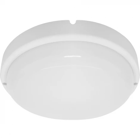 Настенно-потолочный светильник Feron 41147 (LED, 220V, датчик движения, круглые, IP65)