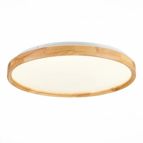 Потолочный светильник Evoluce Delia SLE201382-01