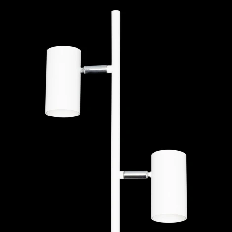 Торшер Citilux Twin CL809010N (LED, 220V, сенсорный выключатель)