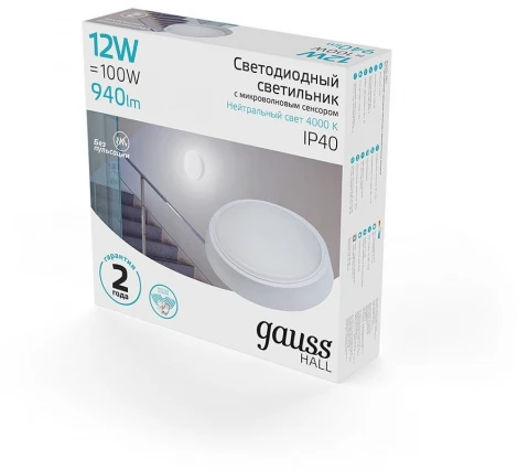 Настенно-потолочный светильник Gauss Hall 193411212-S