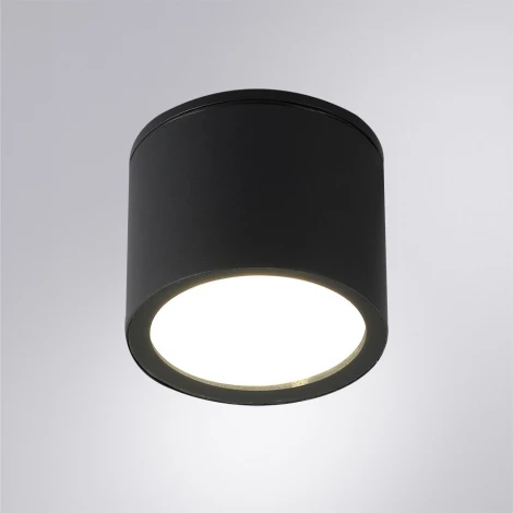 Потолочный светильник уличный Arte Lamp Piautos A1913PF-1BK