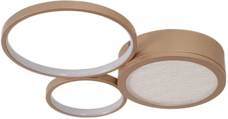 Потолочный светильник круглый F-Promo Campus 4681-3C (LED, 220V)